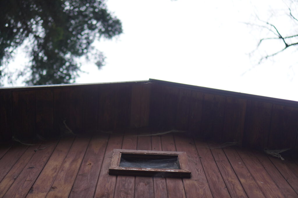 ospalá samota