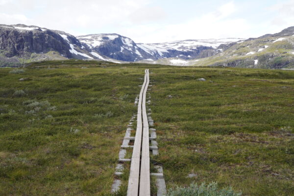 kungsleden: abisko – tjäktja