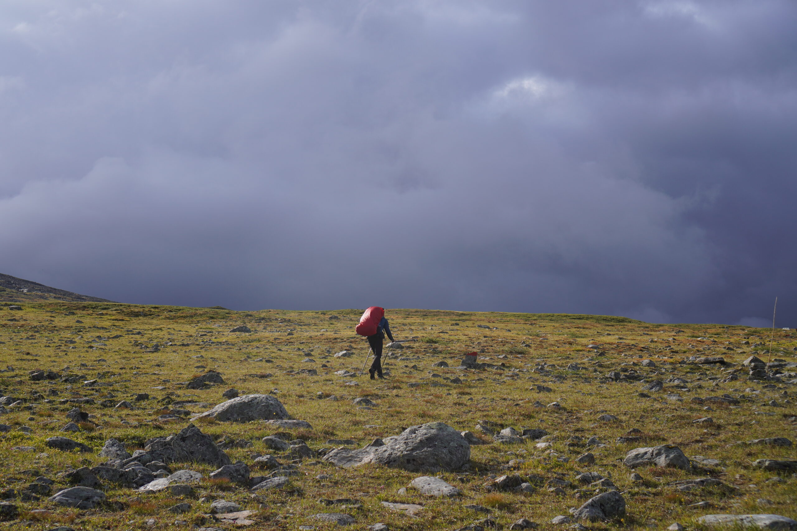 kungsleden saltoluokta